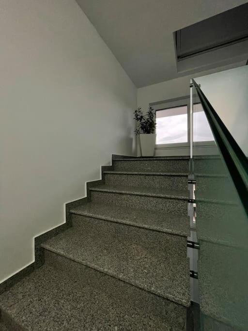 Apartament Timisoara 6 Exterior foto